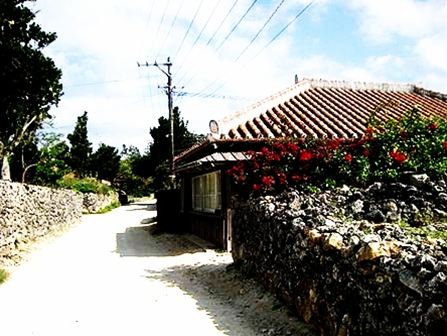 IMG_4204_R.JPG